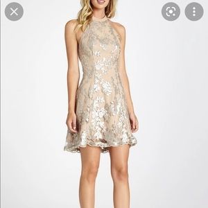 Dress the Population Abbie Dress